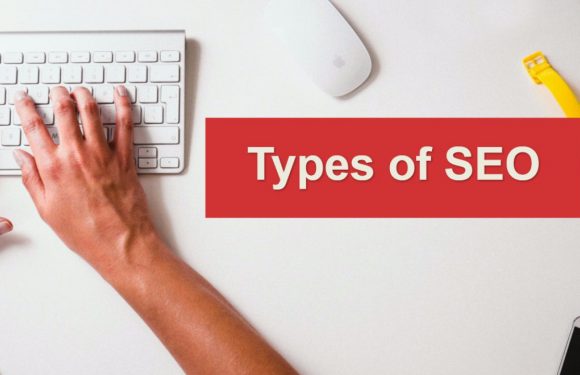 A Marketing Guide To Learn About The Various Types Of SEO